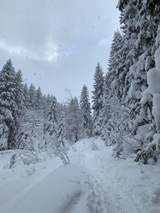 Challet Jasna Exclusive **** Demänovská Dolina Dış mekan fotoğraf